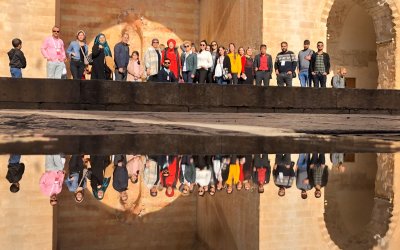 Mardin Diyarbakır Günü Birlik Turları